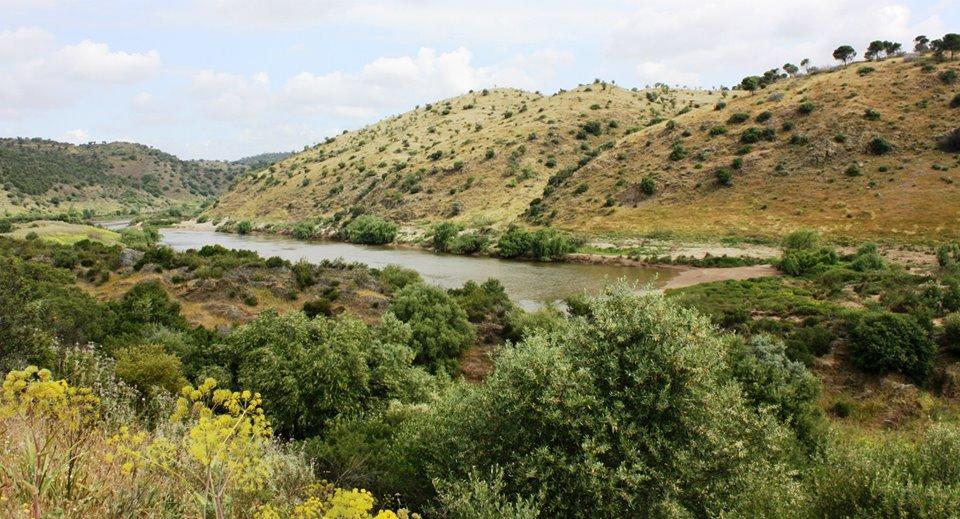 Casa Do Funil Konuk evi Mértola Dış mekan fotoğraf